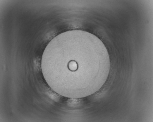 X0000081280672200701181744