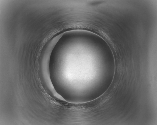 X0000081280673200701181744