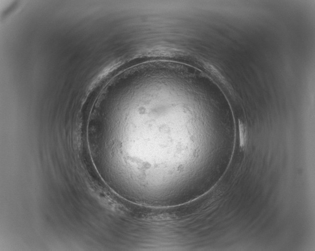 X0000081280675200701181744