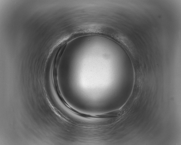 X0000081280677200701181743