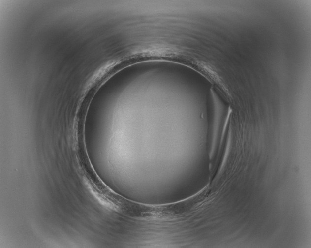 X0000081280678200701181743