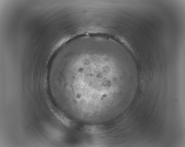 X0000081280679200701181743