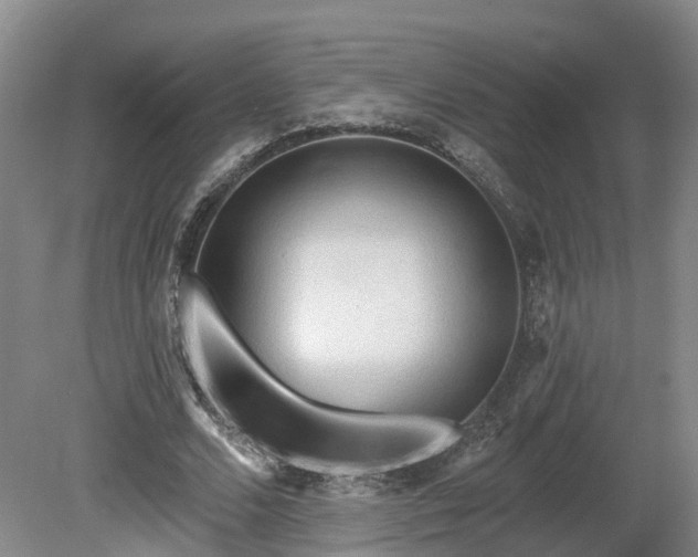 X0000081280680200701181743