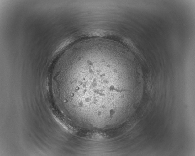 X0000081280683200701181743