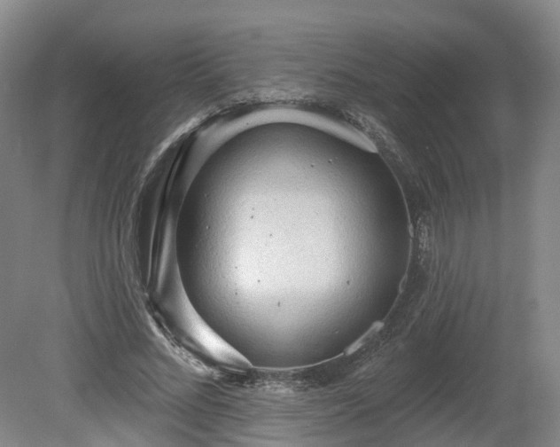 X0000081280684200701181743