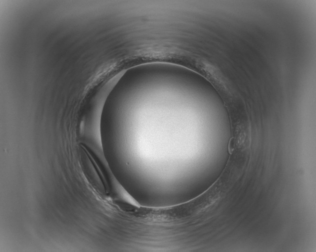 X0000081280685200701181743