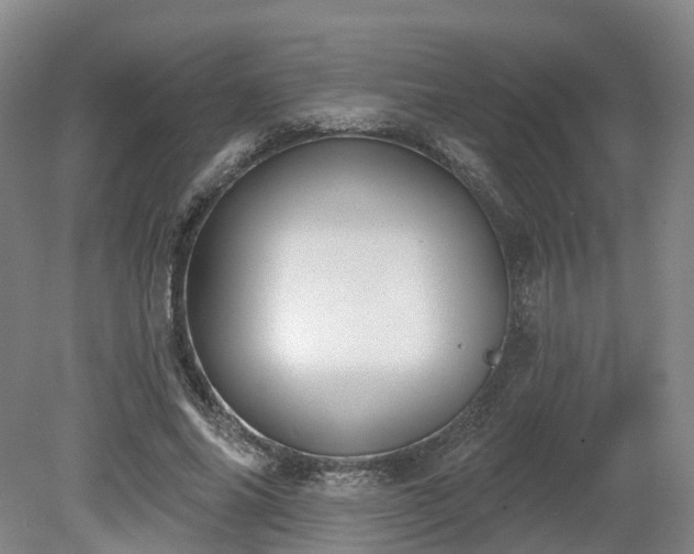 X0000081280686200701181743