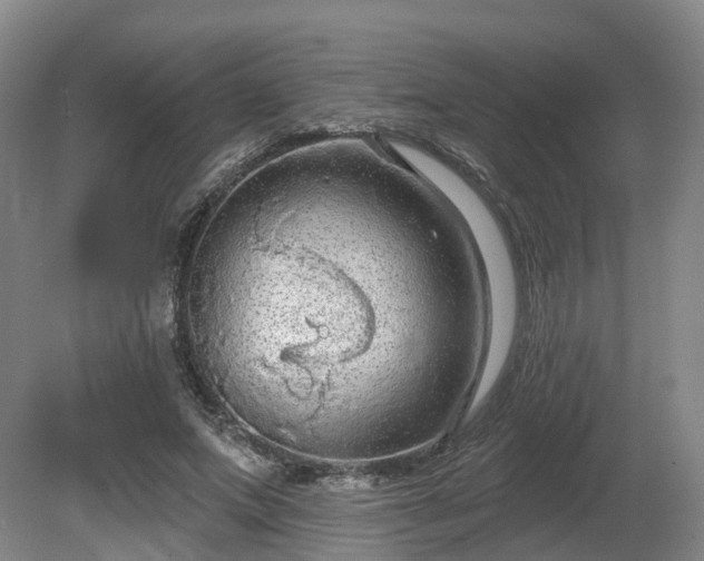 X0000081280687200701181743