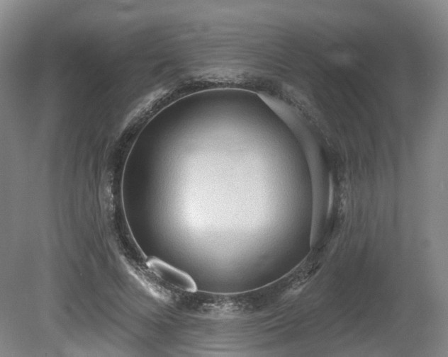 X0000081280688200701181743