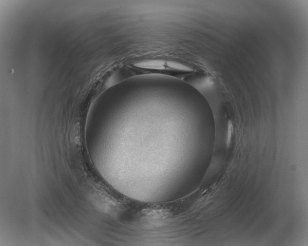 X0000081280689200701181743