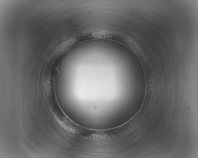 X0000081280690200701181743