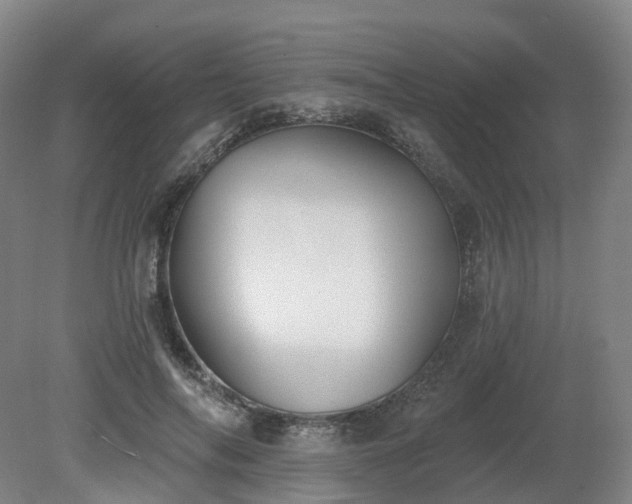 X0000081280694200701181743