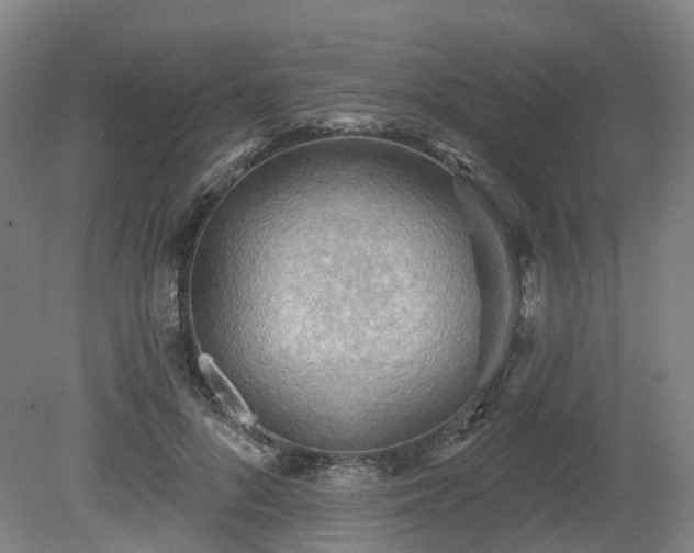 X0000081280696200701181743