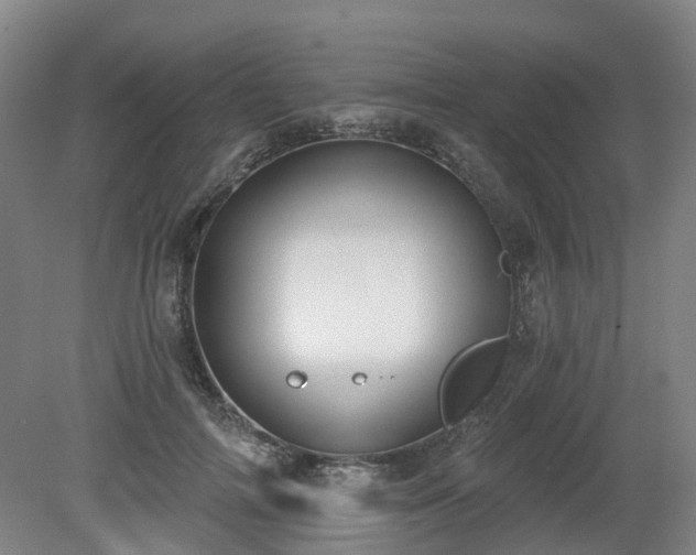 X0000081280698200701181743