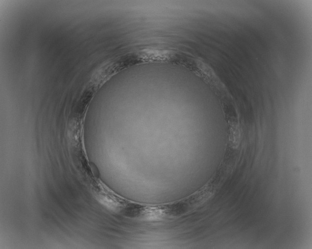 X0000081280701200701181743