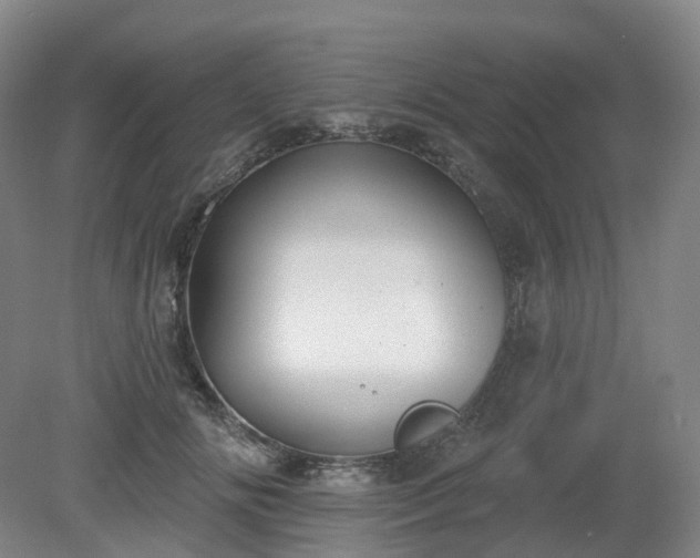 X0000081280702200701181743