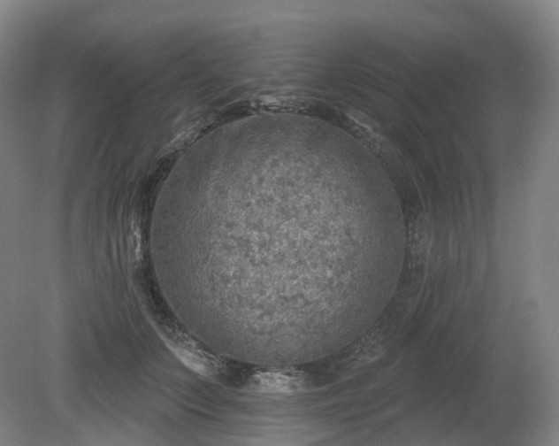 X0000081280703200701181743