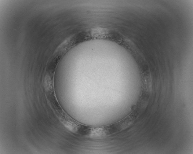 X0000081280705200701181743