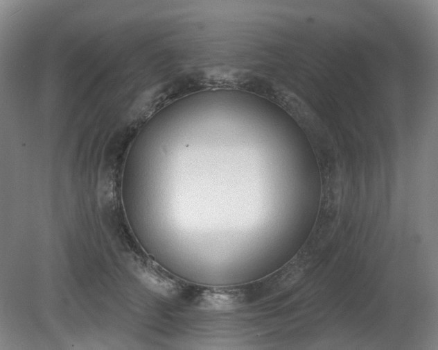 X0000081280706200701181743