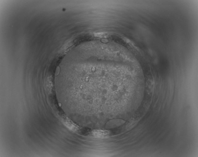 X0000081280707200701181743