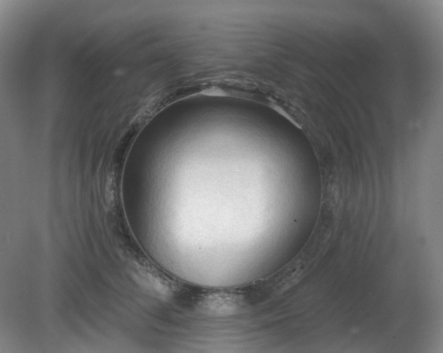 X0000081280708200701181743