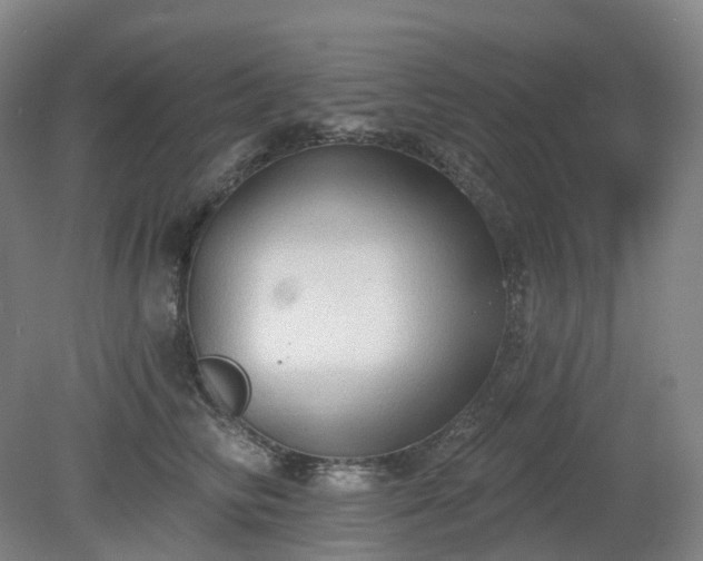 X0000081280710200701181743