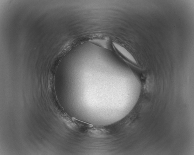 X0000081280712200701181743