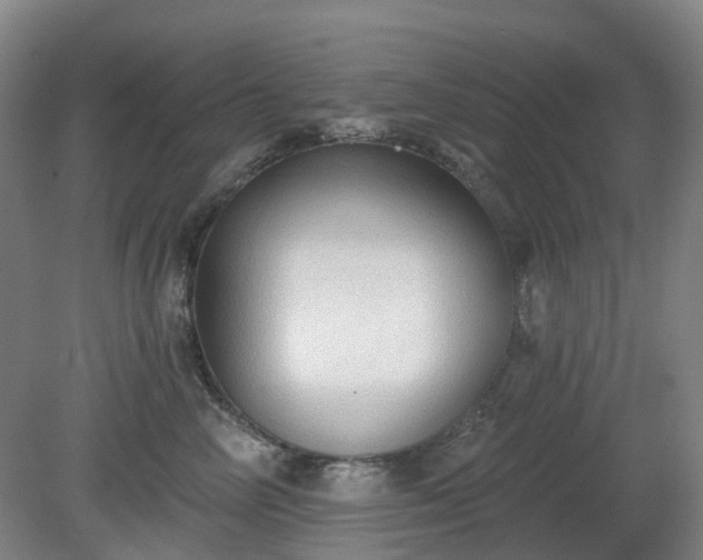 X0000081280714200701181743