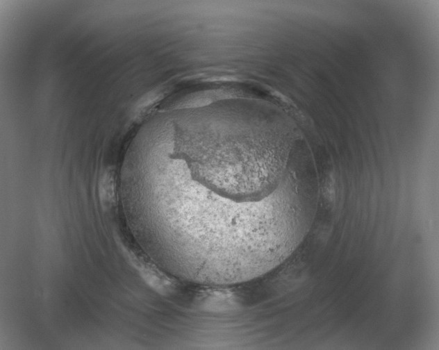 X0000081280715200701181743