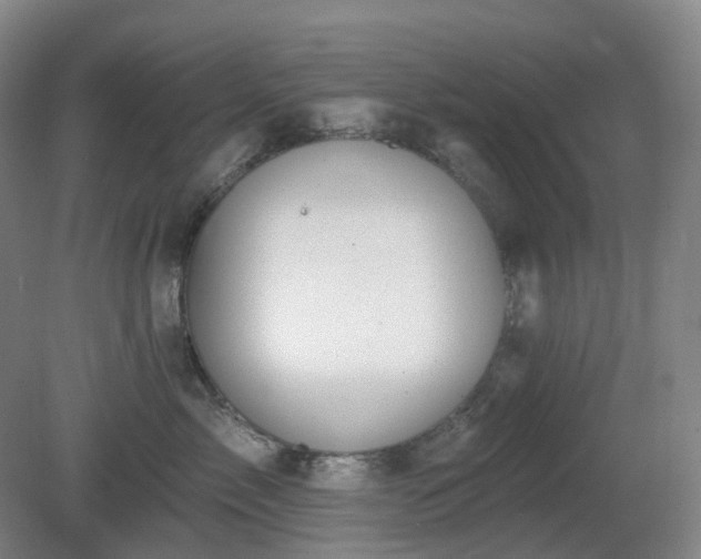 X0000081280717200701181743