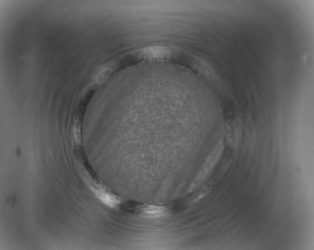 X0000081280718200701181743