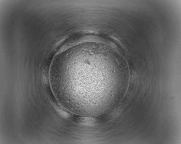 X0000081280719200701181743