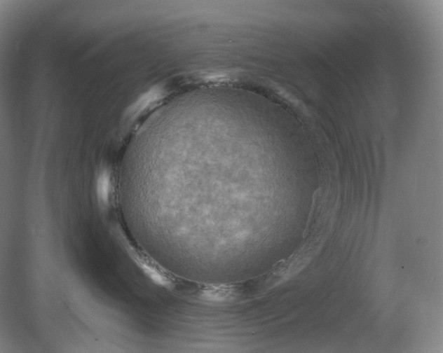 X0000081280720200701181743