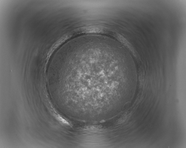 X0000081280721200701181742