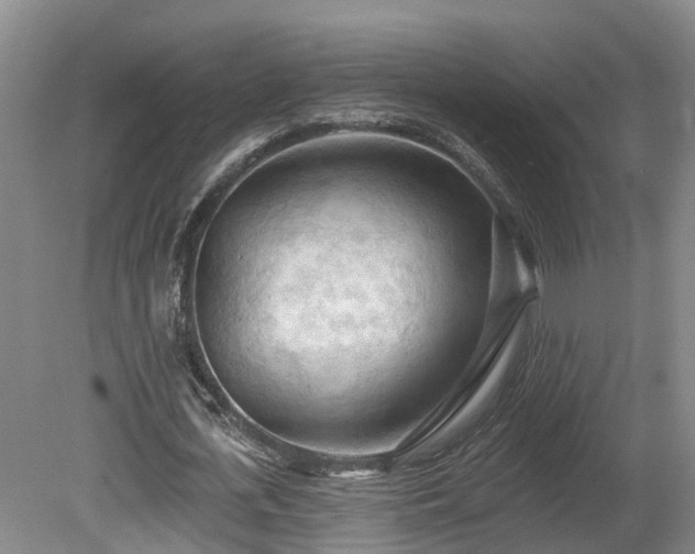 X0000081280723200701181742