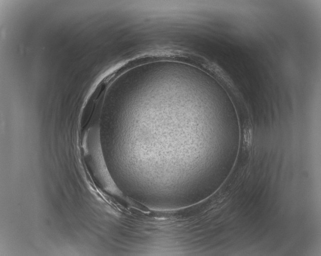 X0000081280724200701181742