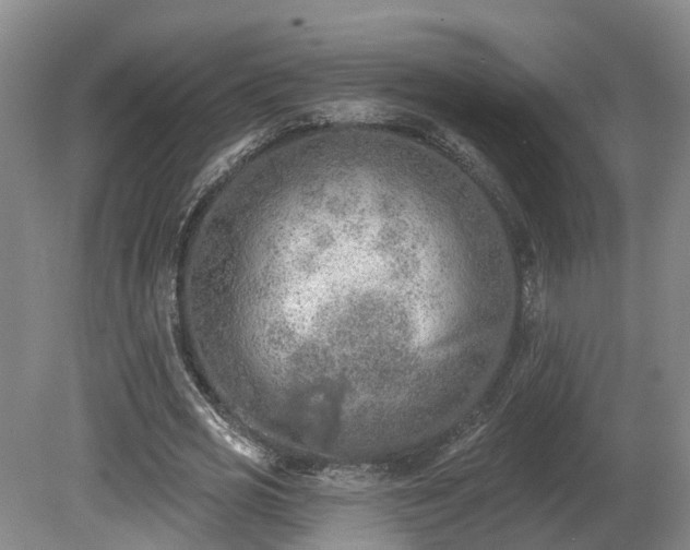 X0000081280725200701181742