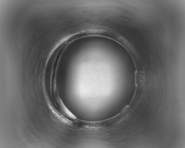 X0000081280726200701181742