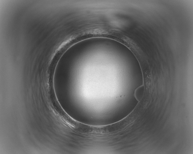 X0000081280727200701181742