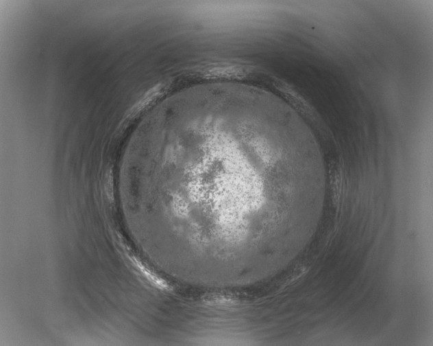 X0000081280729200701181742