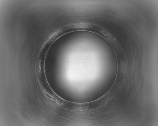 X0000081280731200701181742