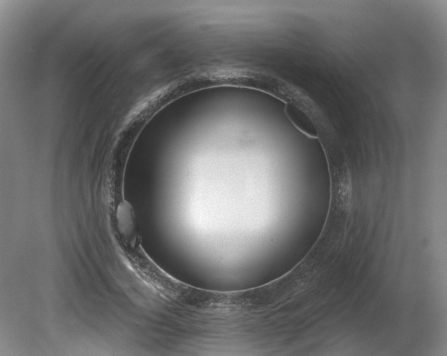 X0000081280732200701181742