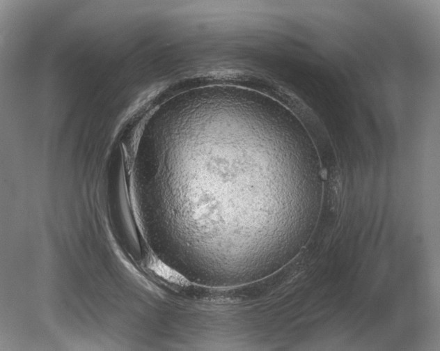 X0000081280734200701181742