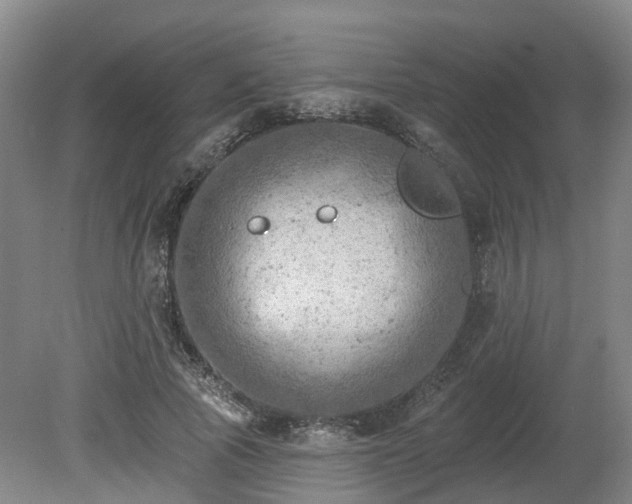 X0000081280737200701181742