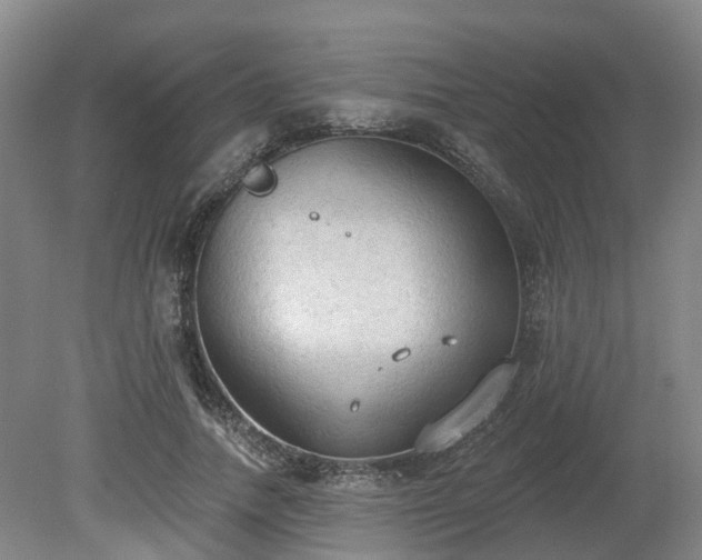 X0000081280738200701181742