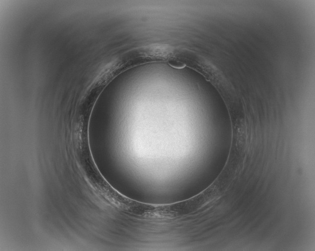 X0000081280739200701181742