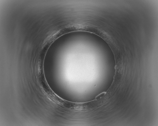 X0000081280740200701181742