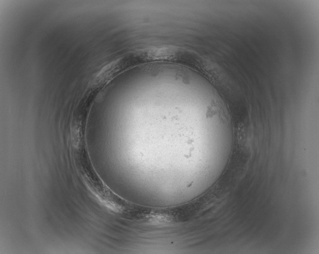 X0000081280741200701181742