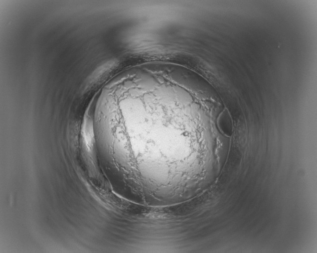 X0000081280742200701181742