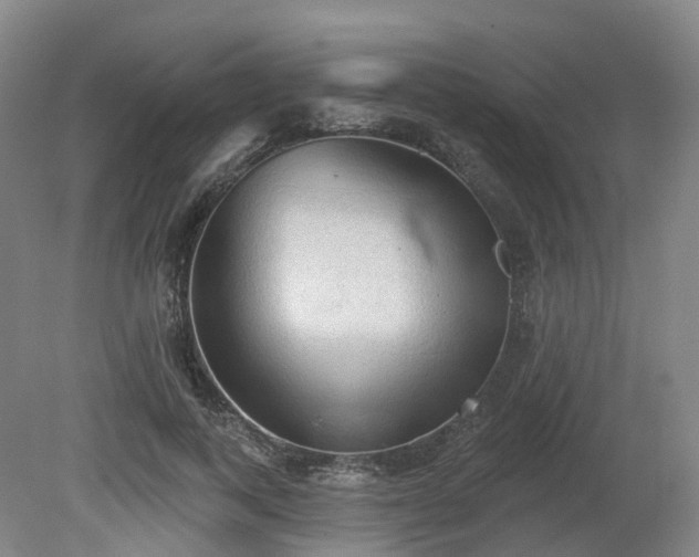 X0000081280743200701181742